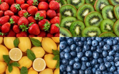 Fruta da Época: Verão